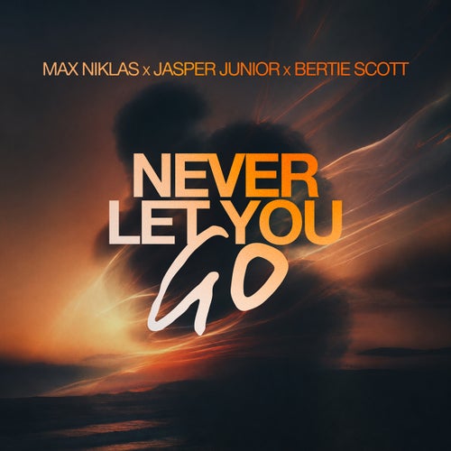 Never Let You Go (Extended Mix)