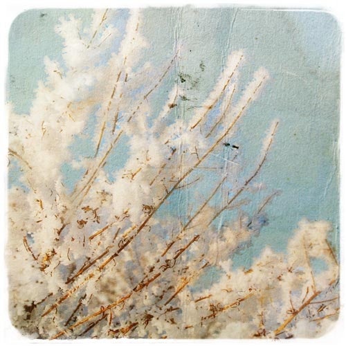 FEBRUARY 2013 - TOP 10 - DJ EQUAN