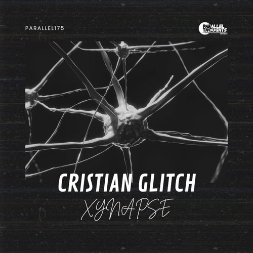 Xynapse