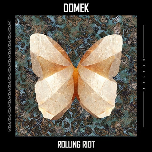 Cover art for Rolling Riot