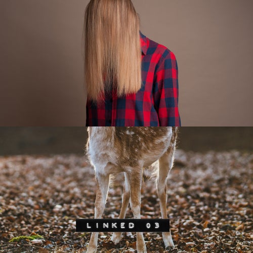 Linked 003