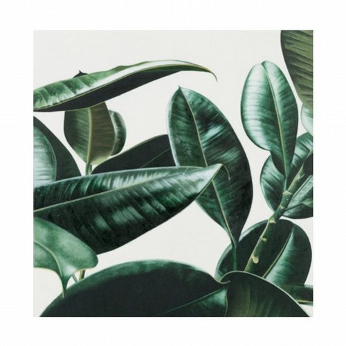 Cover art for Seed.TApe
