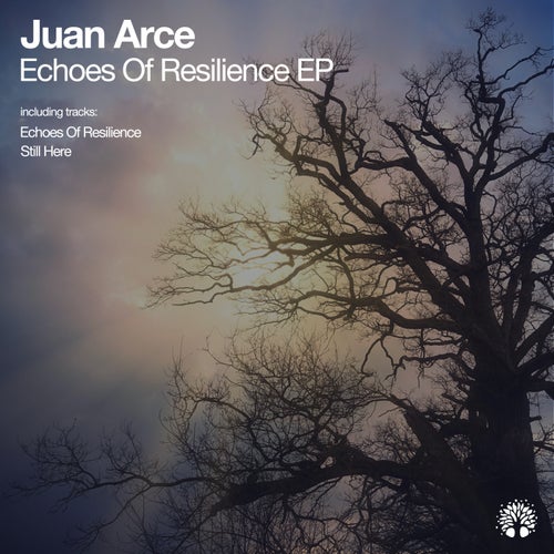 Juan Arce — Echoes of Resilience (2026)