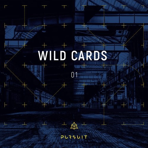 Cover art for Wild Cards 01