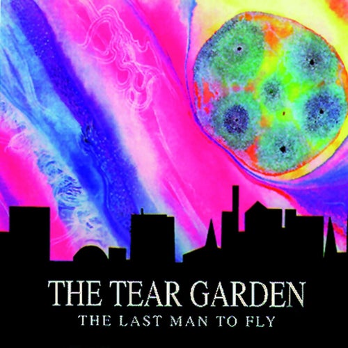 Cover art for The Last Man To Fly