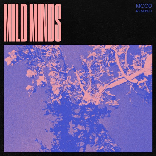 Cover art for MOOD (Remixes)