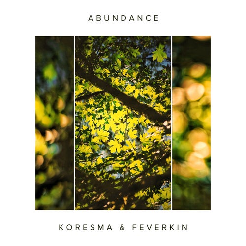 Abundance