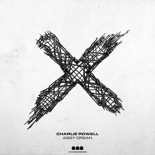 Aggy Organ (Extended)