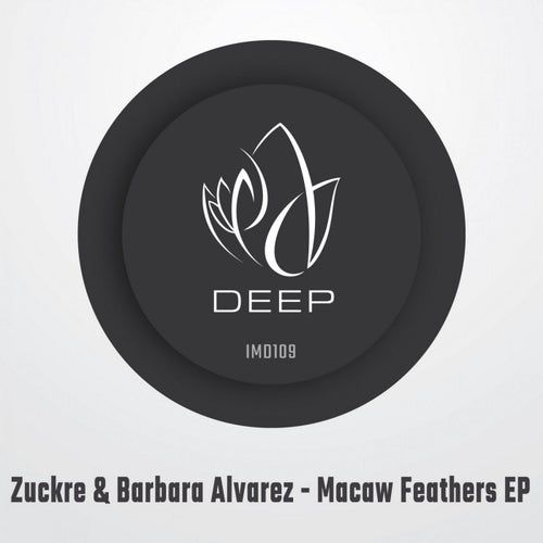 Macaw Feathers EP