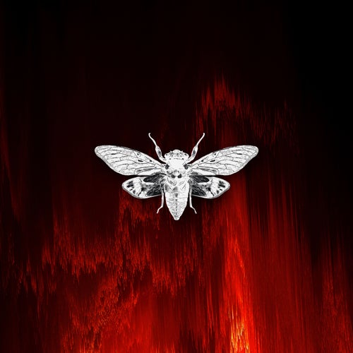 Distorted Reality Vol. III [Ciccada]