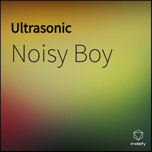 Ultrasonic