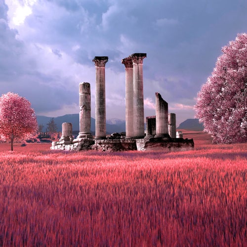 Infrared Dreams