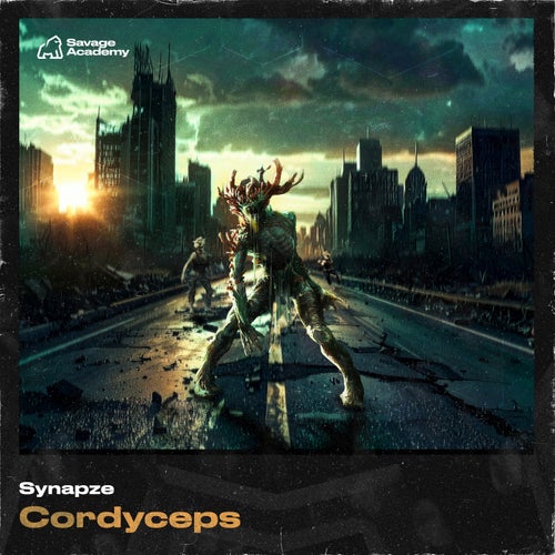 Cordyceps