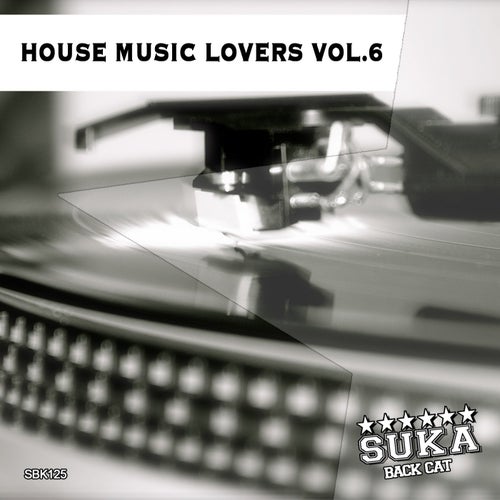 House Music Lovers, Vol. 6