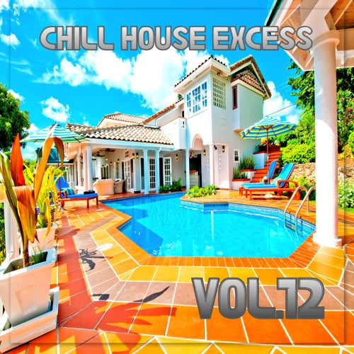 Cover art for Chill House Excess, Vol.12 (BEST SELECTION OF LOUNGE AND CHILL HOUSE TRACKS)