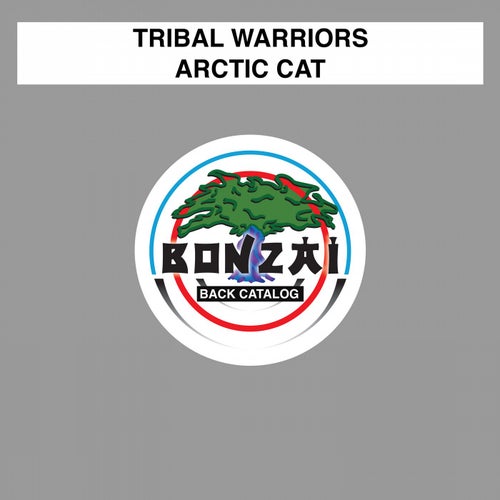 Arctic Cat