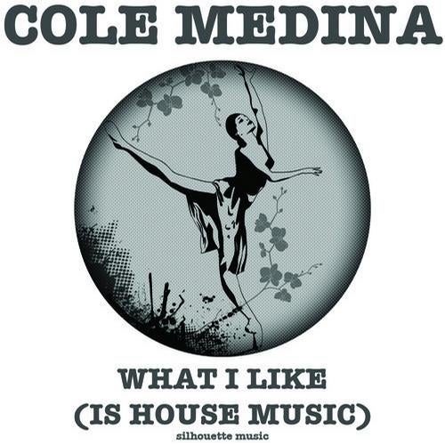 What I Like (Is House Music)
