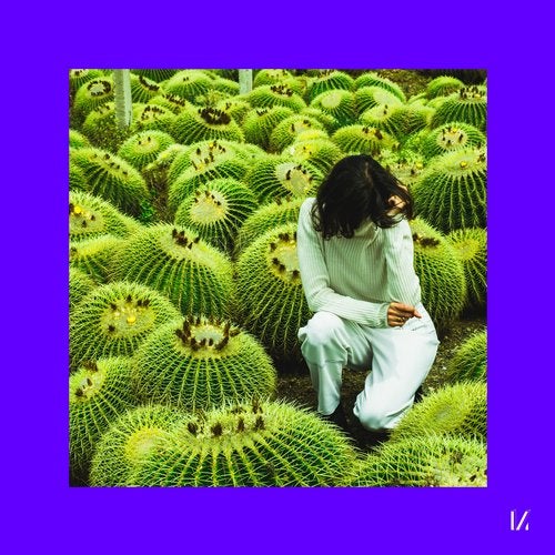 Cover art for Screen Sinking
