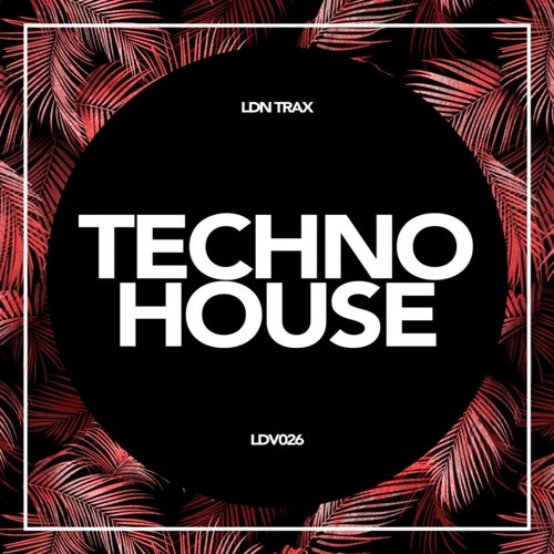 Techno House