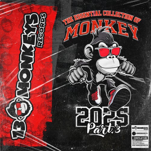 The Essential Collection Of Monkey 2025 - Part.3