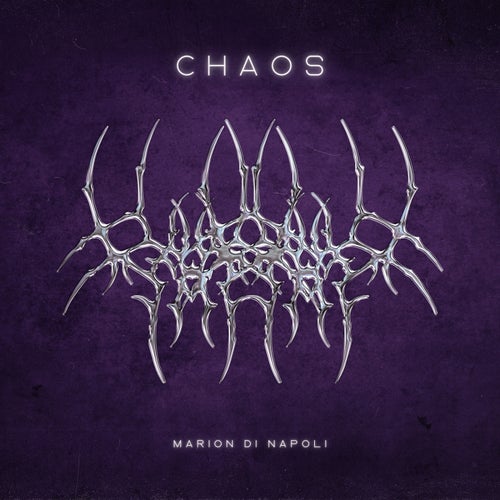 Chaos