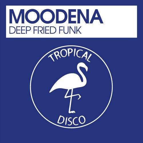 Cover art for Deep Fried Funk