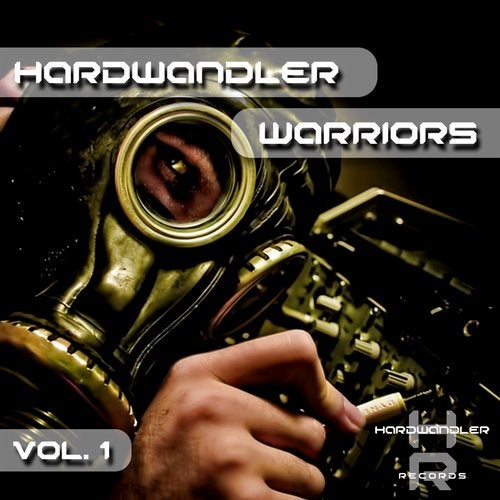 Cover art for Hardwandler Warriors, Vol.1