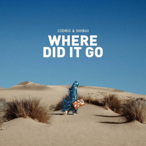 Where Did It Go (Extended Version)