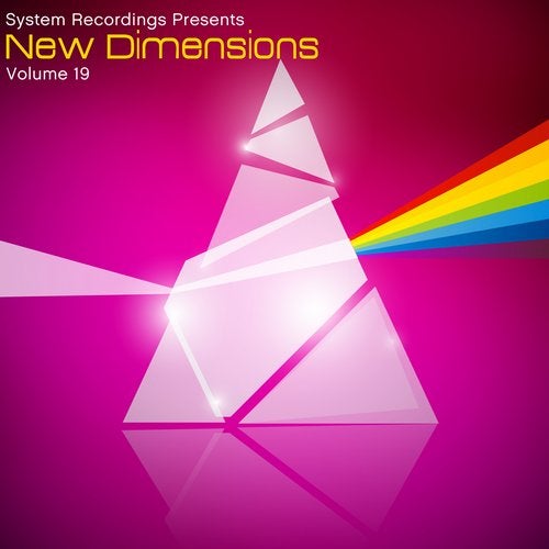 Cover art for New Dimensions 19