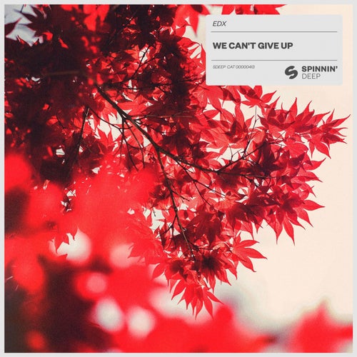 We Can't Give Up (Extended Mix)