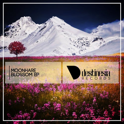 Blossom EP