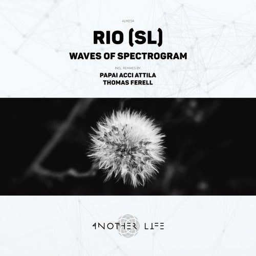 Waves of Spectrogram