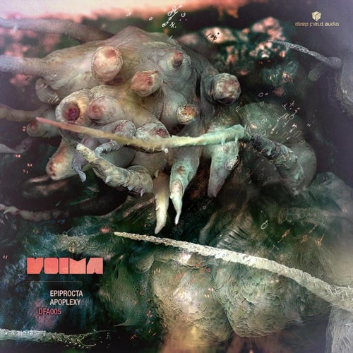 Epiprocta / Apoplexy