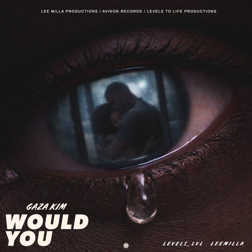Would You