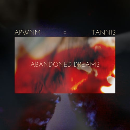 Abandoned Dreams