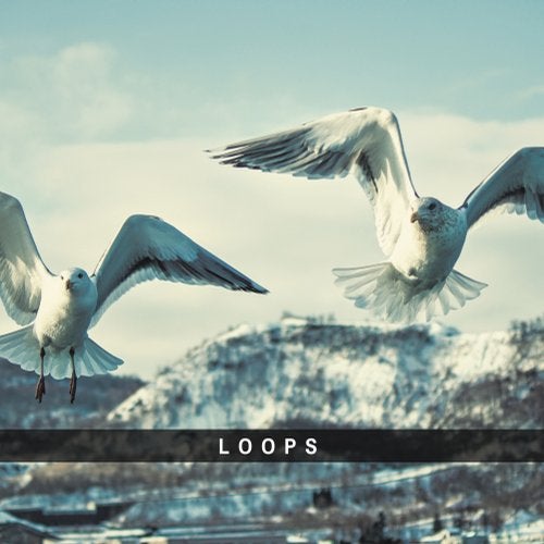 Cover art for Loops