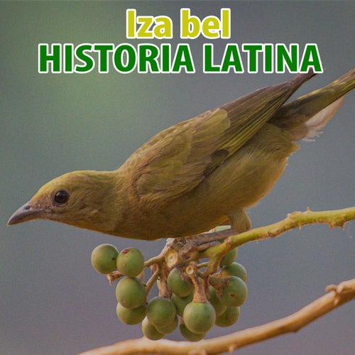 Història Latina (Nu Ground Foundation Mixes)