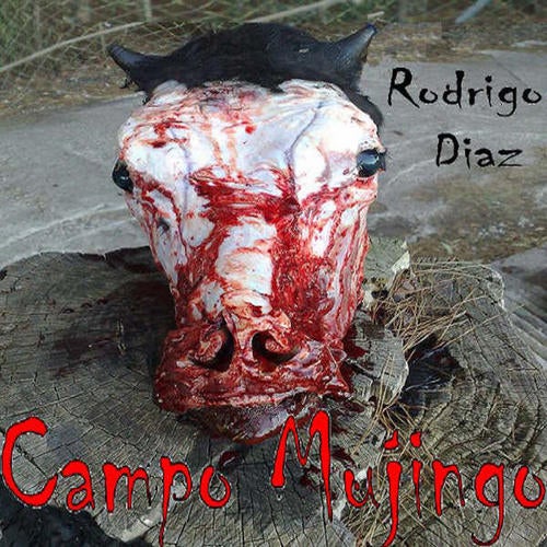 Campo Mujingo			