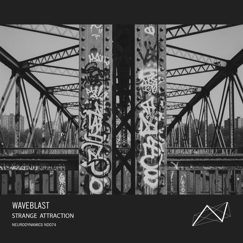 Strange Attraction
