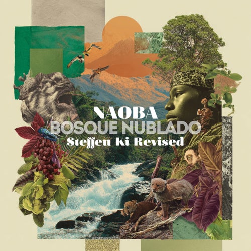 BOSQUE NUBLADO (Steffen Ki revised)