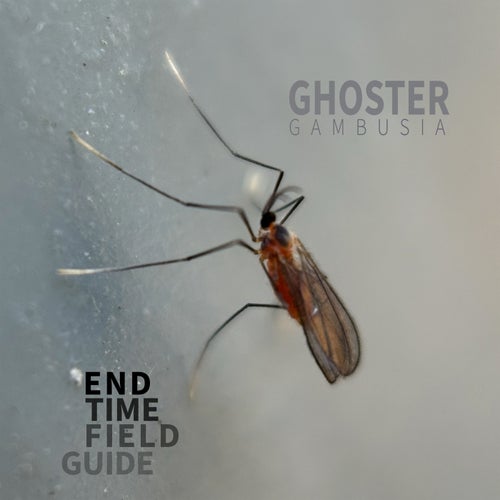Ghoster