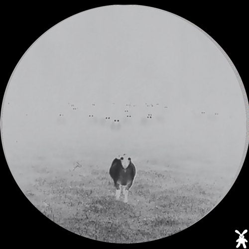 Cover art for Ofca