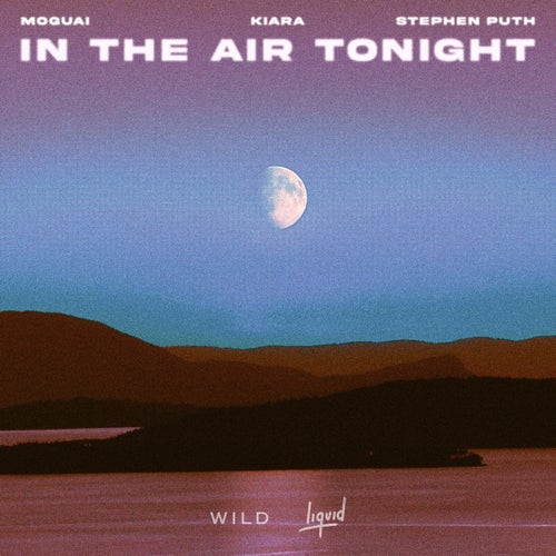 In The Air Tonight (Extended Mix)