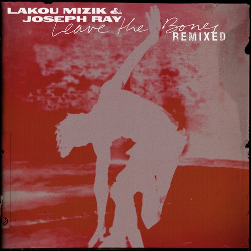 Cover art for Leave the Bones (Remixed)
