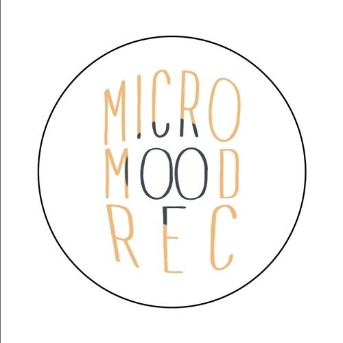 Micromood Rec