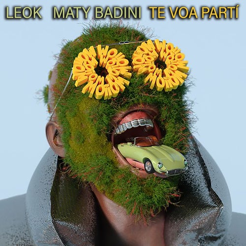 Te Voa Partí