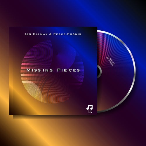 Missing Pieces