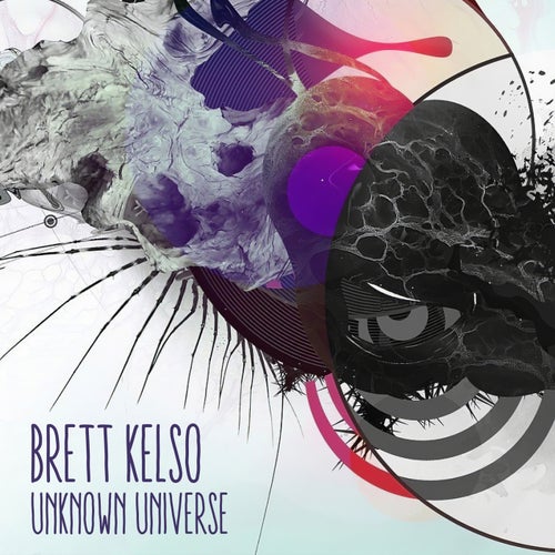 Unknown Universe