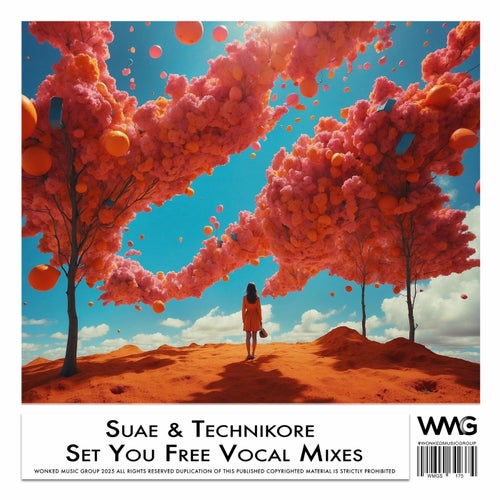 Set You Free Vocal Mixes