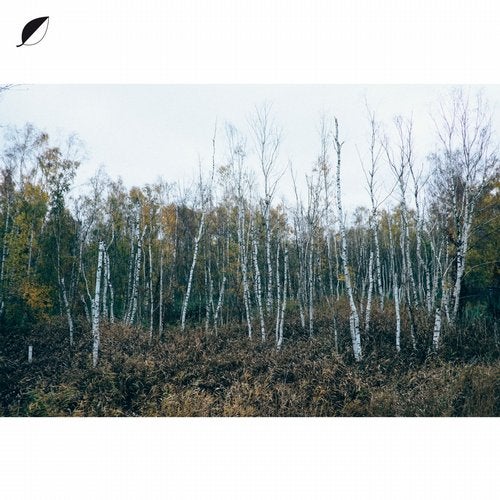 Cover art for Haul (feat. Mohna) [Radio Edit]